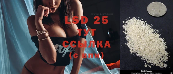 ГАЛЛЮЦИНОГЕННЫЕ ГРИБЫ Алексеевка