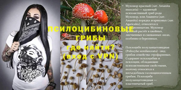 ГАЛЛЮЦИНОГЕННЫЕ ГРИБЫ Алексеевка