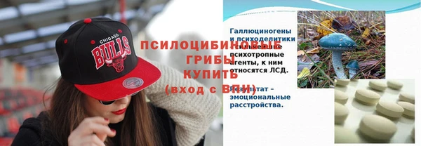 ГАЛЛЮЦИНОГЕННЫЕ ГРИБЫ Алексеевка