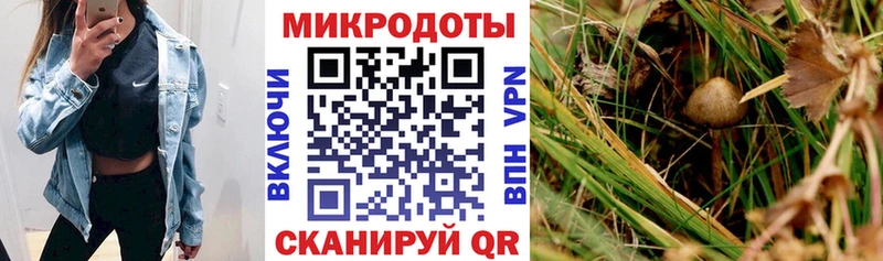 купить  цена  omg ссылка  Галлюциногенные грибы мицелий  Миасс 